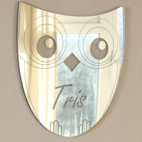 Personalised Owl Door Name Plaque